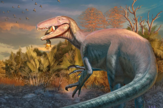 Había un fiero depredador conocido como Joaquín Raptor Casali en la Patagonia durante el Cretácico tardío.