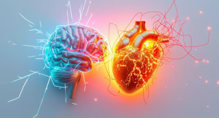 Alimentación equilibrada para prevenir el declive cognitivo y cardiovascular después de los sesenta años.