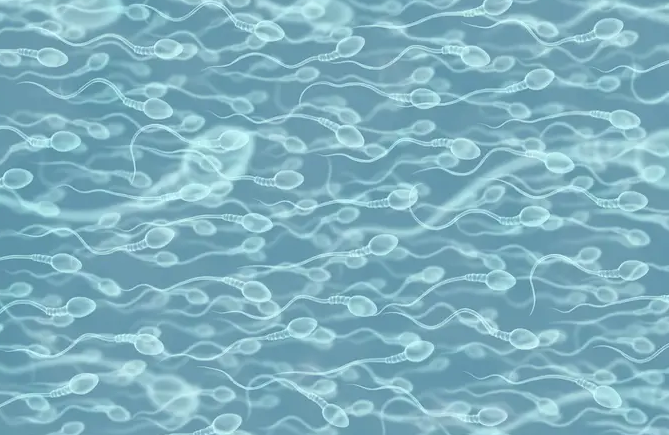 Una experta resalta los factores clave para mejorar la calidad del semen.