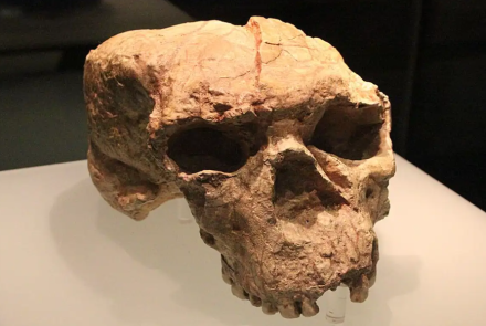 Un hallazgo en China puede llevar a la reevaluación de parte del entendimiento científico sobre los orígenes humanos.