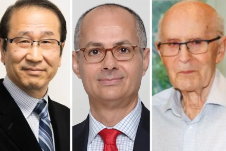 El premio Nobel de Química del año 2025 podría estar vinculado a la investigación sobre compuestos metálico-orgánicos que pueden ayudar en el desarrollo de soluciones para enfrentar las consecuencias del cambio climático.