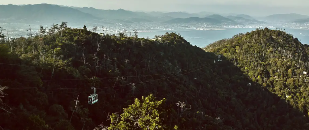 Marcos Valdés expresa que Florinda Meza requiere asesoría especializada debido a sus observaciones controvertidas sobre Don Ramón y otros miembros del reparto.