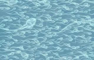 Sugerencias para mejorar la calidad del semen basadas en las recomendaciones de un especialista.