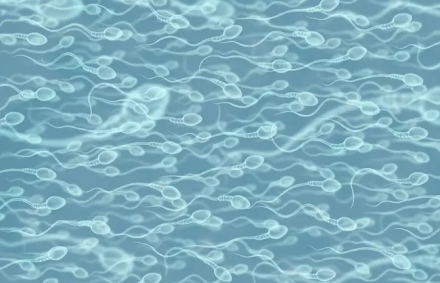 Sugerencias para mejorar la calidad del semen basadas en las recomendaciones de un especialista.