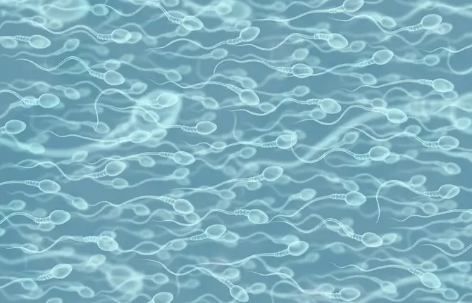 Sugerencias para mejorar la calidad del semen basadas en las recomendaciones de un especialista.