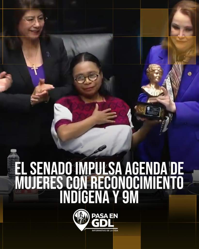 Senado establece el 9 de marzo como Día Nacional Sin Nosotras y otorga honor Elvia Carrillo Puerto