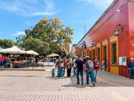 Calor extremo en Guadalajara: hasta 32°C y consejos de cuidado para esta semana