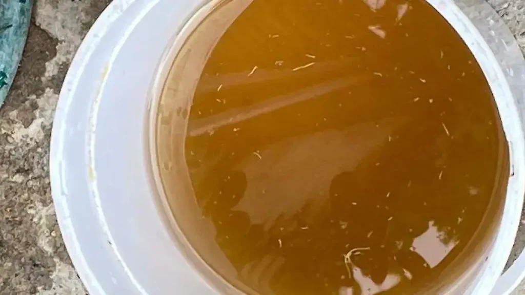 ¡26 denuncias presentadas y sigue la crisis del agua! CEDHJ alerta sobre situación en ZMG