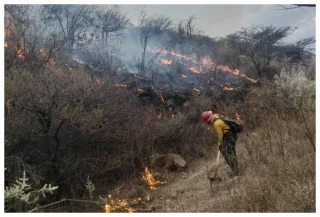 ¡Alerta atmosférica en Guadalajara! Incendio en Bosque La Primavera deja humo y suspende clases al aire libre