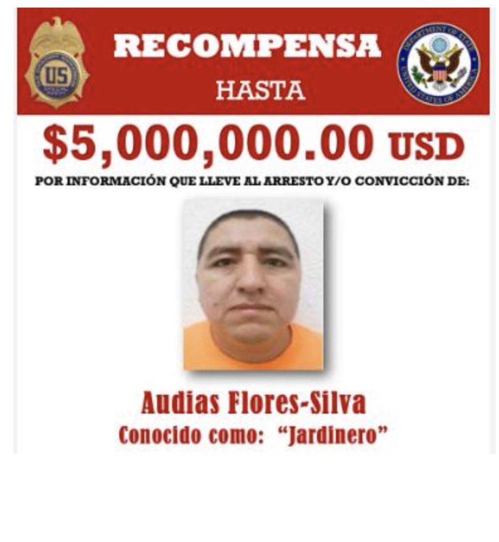 Golpe estratégico al CJNG: La Marina captura en Nayarit a “El Jardinero”, objetivo de 5 mdd para EE. UU.