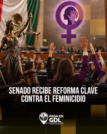Ley General de Feminicidio llega al Senado – tipo penal unico