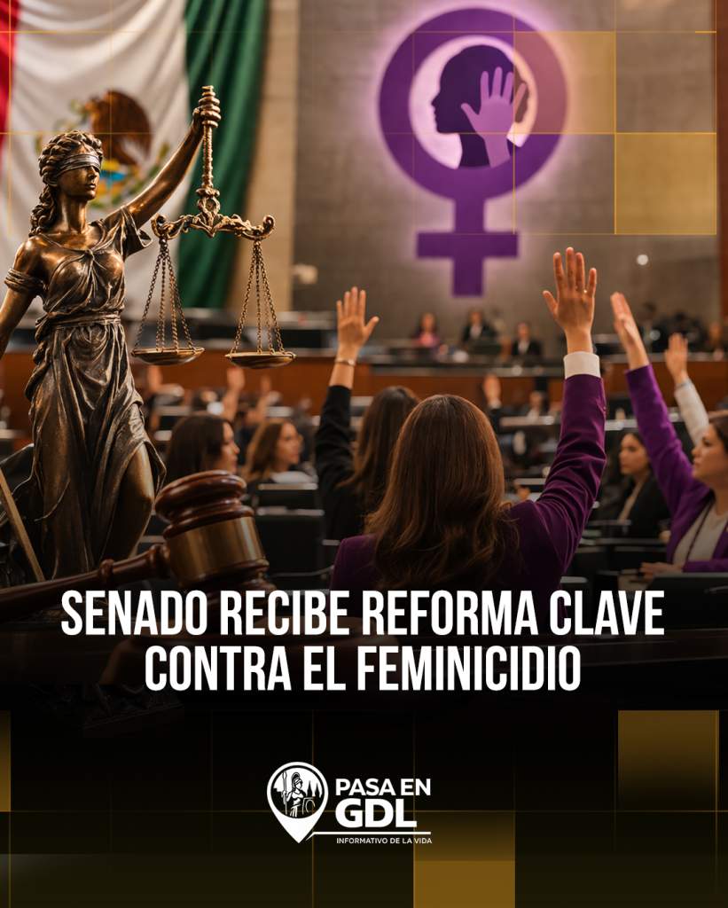 Ley General de Feminicidio llega al Senado – tipo penal unico