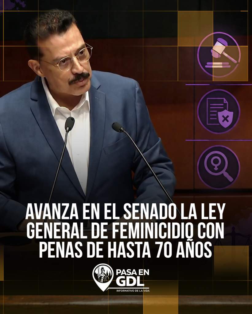 Reforma feminicidio avanza en comisiones del Senado