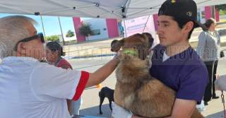 Autoridades refuerzan vigilancia contra el gusano barrenador con nuevo centro de operaciones en Jalisco y campañas en Tamaulipas