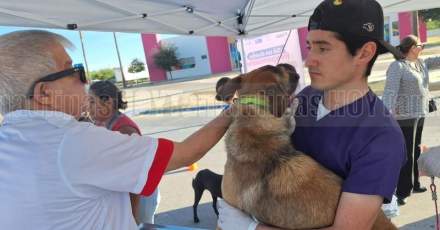 Autoridades refuerzan vigilancia contra el gusano barrenador con nuevo centro de operaciones en Jalisco y campañas en Tamaulipas
