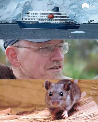 «Paciente Cero» del brote de Hantavirus en el crucero Hondius: Un trágico error en una expedición científica