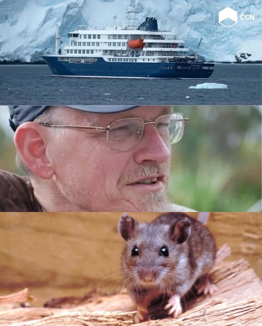 «Paciente Cero» del brote de Hantavirus en el crucero Hondius: Un trágico error en una expedición científica