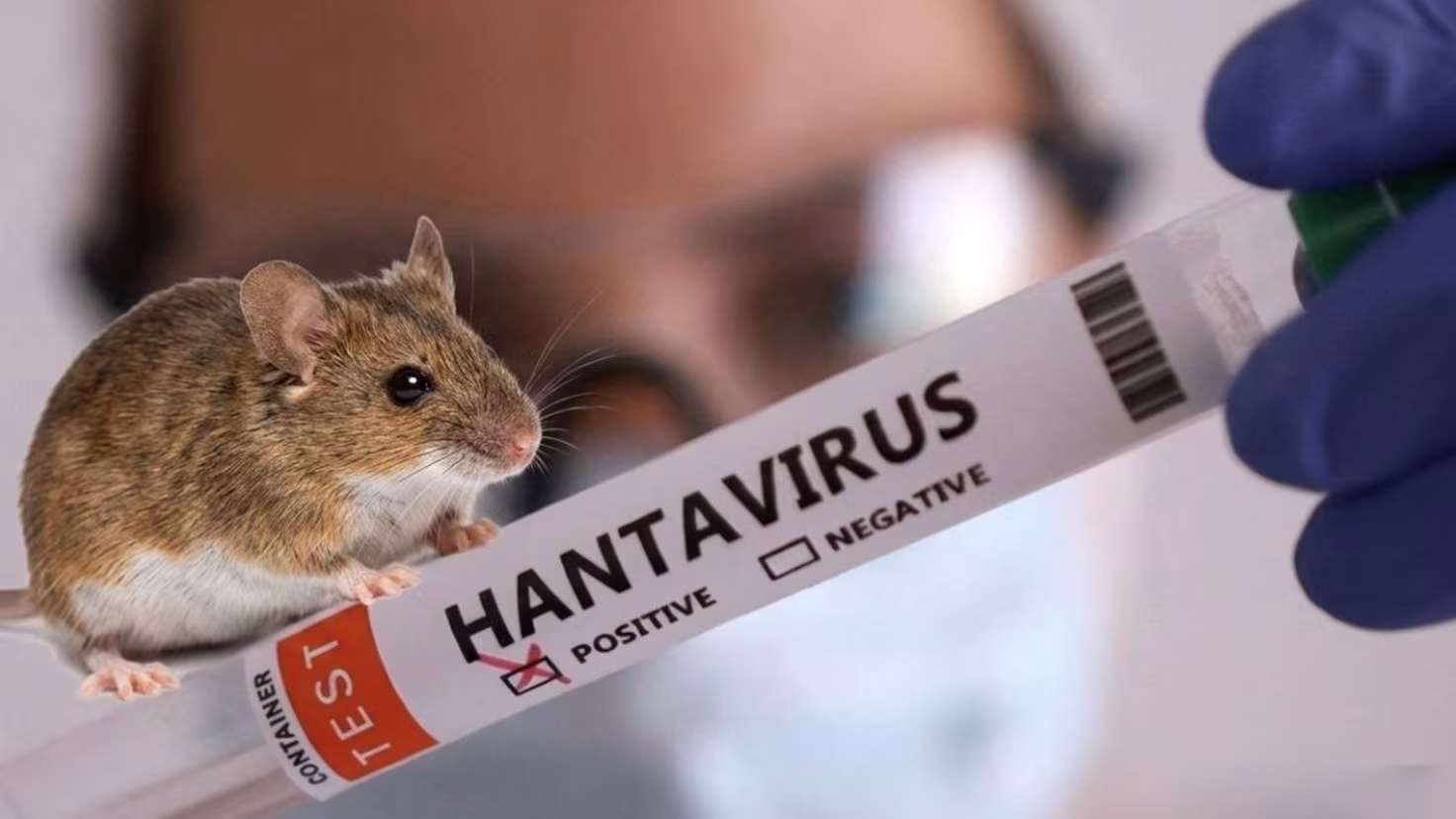 Alerta sanitaria global: La OMS confirma alta letalidad en el brote de Hantavirus