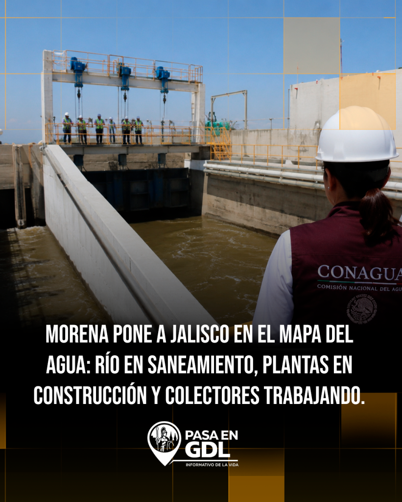 Morena — Tres elementos verificables