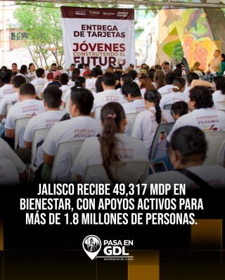 Programas federales en tu familia