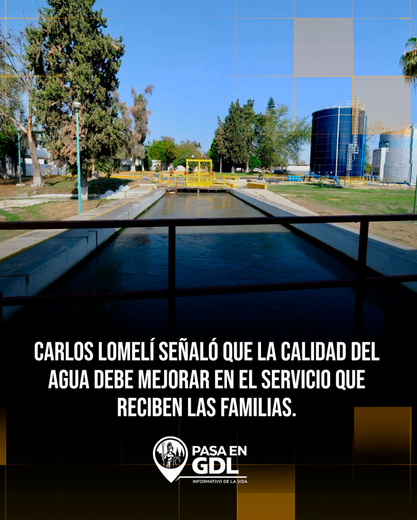 Las soluciones deben reflejarse en el servicio