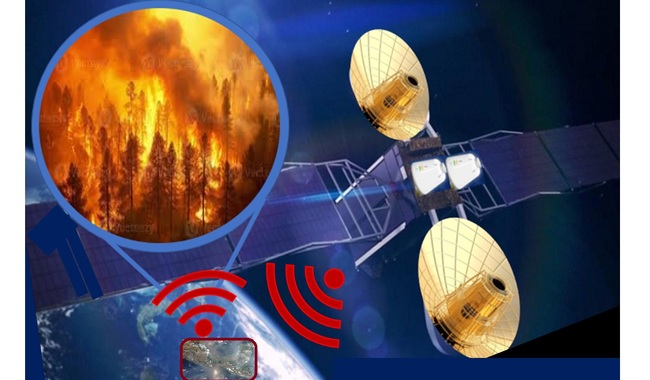 Tecnología al rescate del bosque: México usará satélites e IA contra incendios forestales